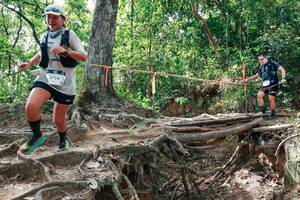 BIB: 
                            <button type="button" onclick="openModal(27718336)" class="btn btn-primary btn-sm float-right btn-popup" data-toggle="modal" data-target=".modal-high-quality">
                        <i class="fas fa-shopping-cart"></i> Add to Cart
                    </button>
                                            <button type="button" onclick="isThisMe(27718336, true)" class="btn btn-success btn-sm float-right btn-popup btn-isme hidden" data-toggle="tooltip" data-placement="bottom" title="นี่คือรูปของคุณใช่ไหม คลิกที่นี่เพื่อเอาเข้าอัลบั้ม">
                        <i class="fas fa-plus"></i> Add to album
                    </button>
                    <button type="button" onclick="isThisMe(27718336, false)" class="btn btn-warning btn-sm float-right btn-popup btn-isnotme hidden">
                        <i class="fas fa-ban"></i> Remove from album
                    </button>